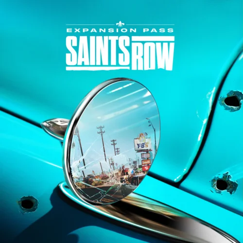  Saints Row Expansion Pass  EGS DLC  (PC)