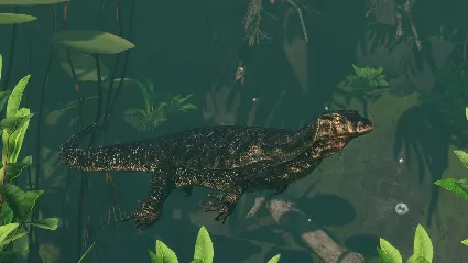 Planet Zoo: Tropical Pack DLC * STEAM RU*KZ*UA*СНГ 🔥