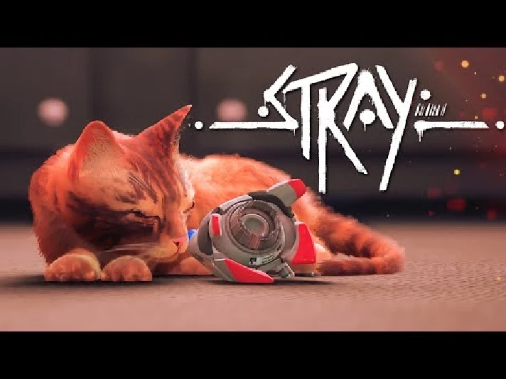 🔥 Stray / Steam Key / GLOBAL (All countries)