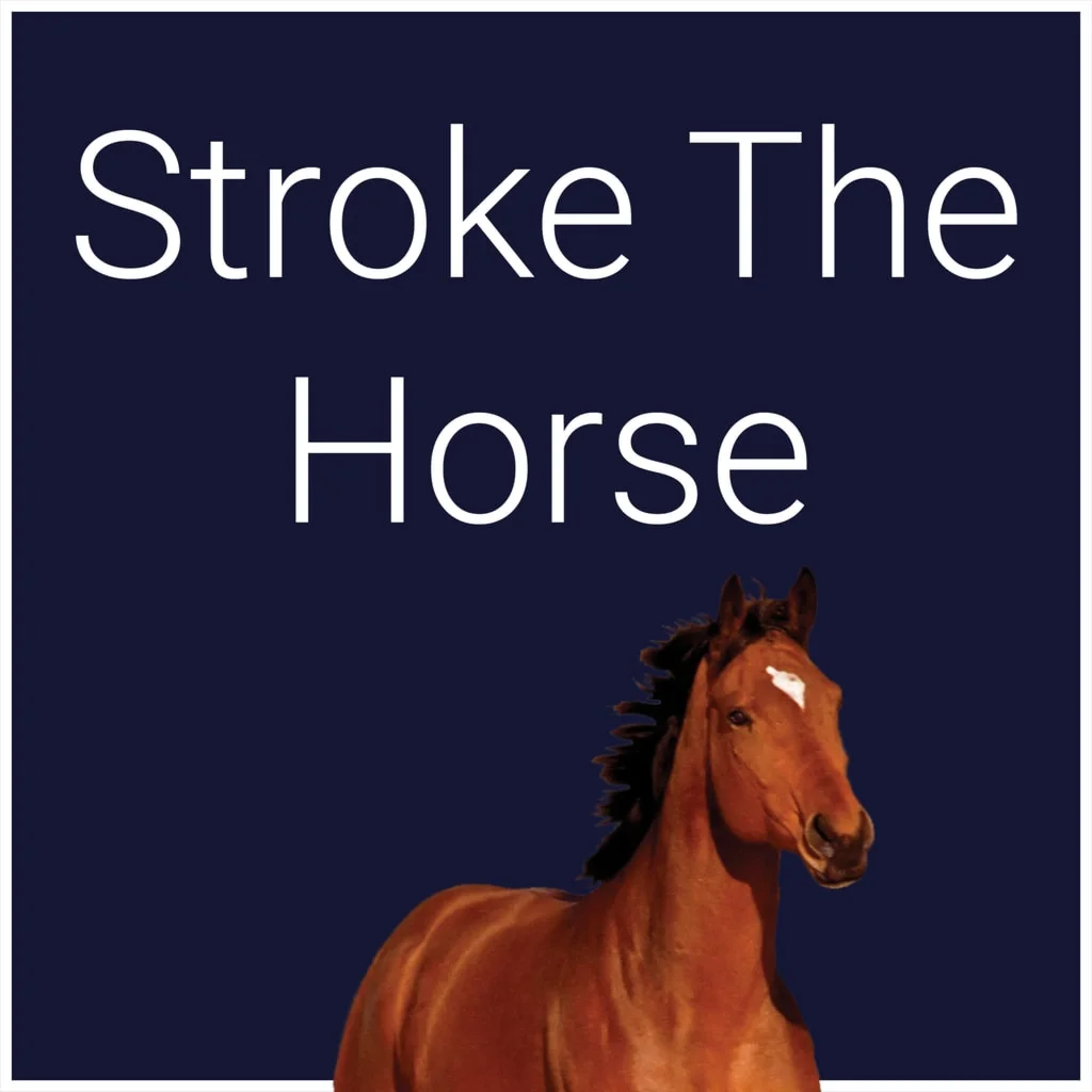 Stroke The Horse PS5