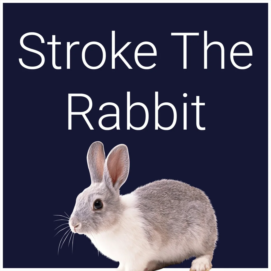 Stroke The Rabbit PS4 &amp; PS5