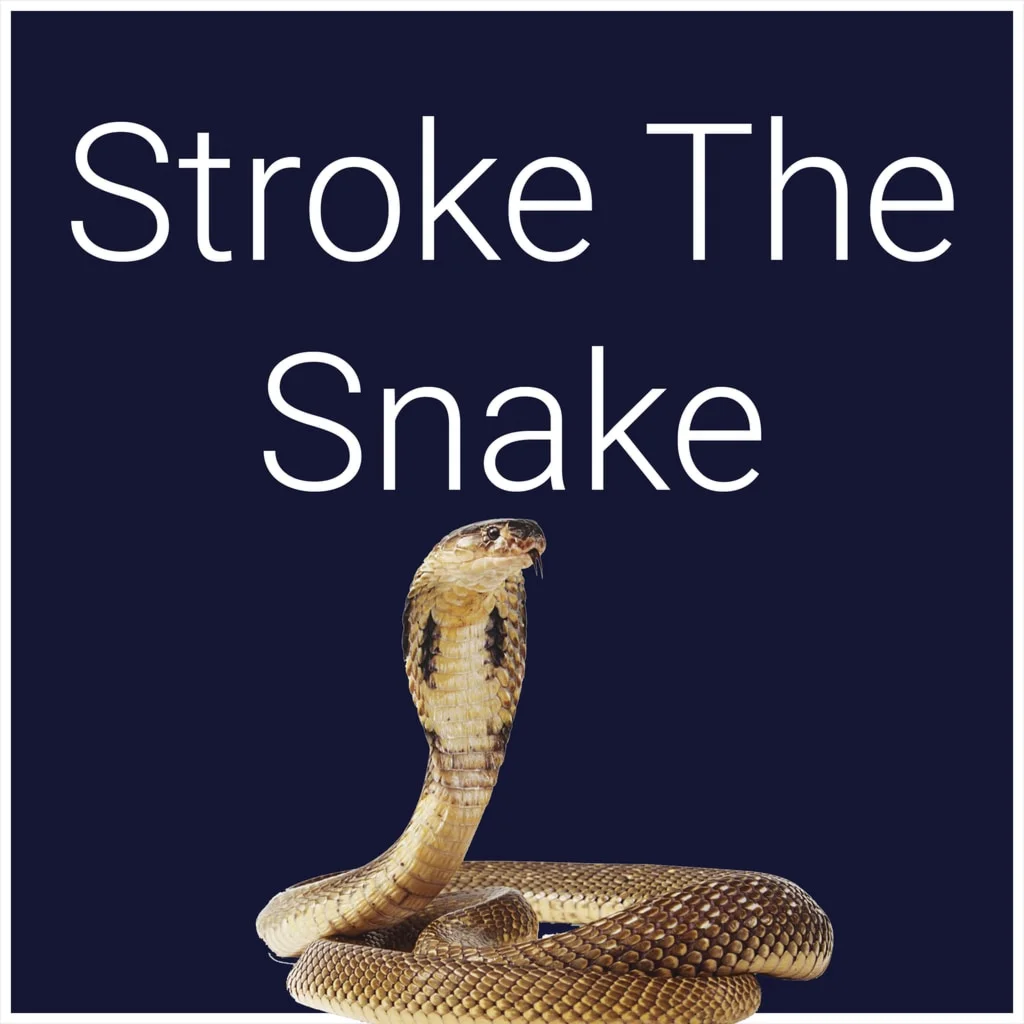 Stroke The Snake PS5