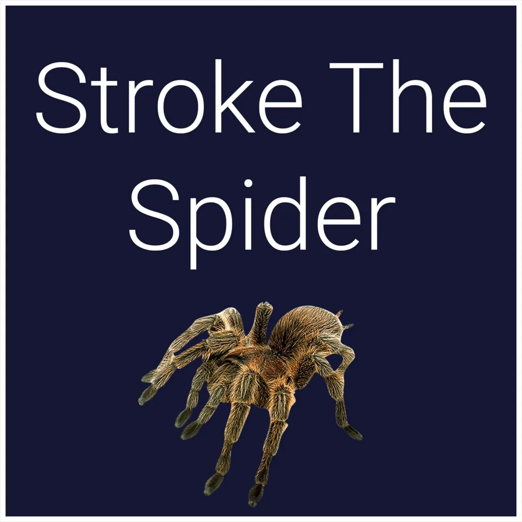 Stroke The Spider PS4 &amp; PS5