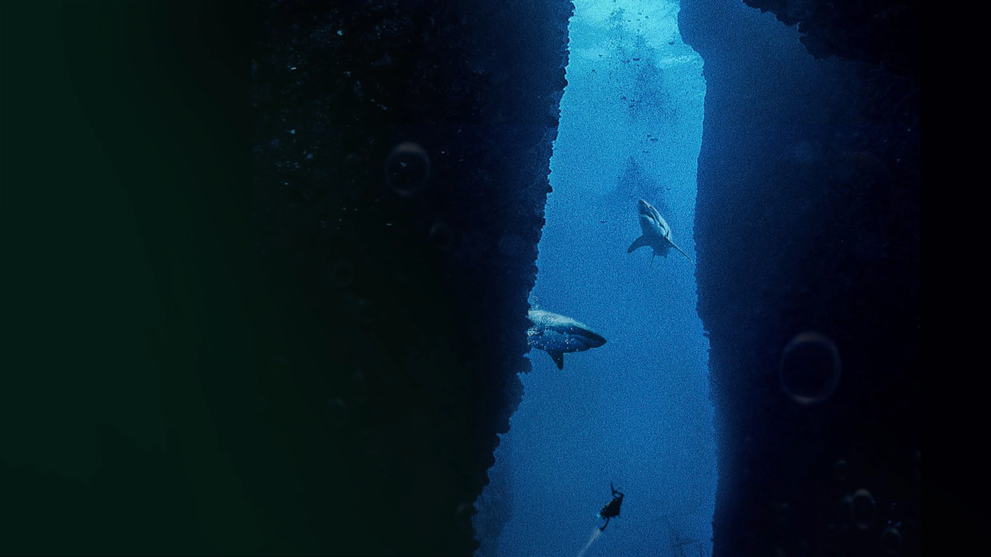 Submersed PS4 &amp; PS5