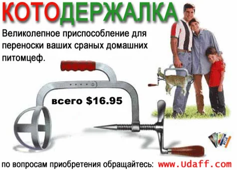 Кото-держалка