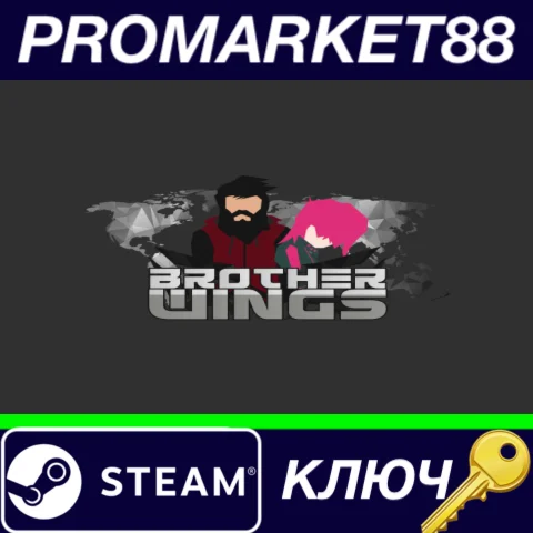⭐ Brother Wings Steam КЛЮЧ  GLOBAL