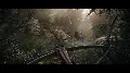 Kingdom Come: Deliverance II R — фото 4