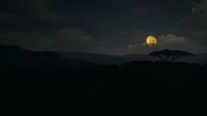 ⭐ theHunter: Call of the Wild - Vurhonga Savanna DLC St