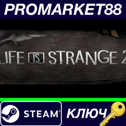 ⭐ Life is Strange 2 - Episode 1 Steam КЛЮЧ 🔑 GLOBAL