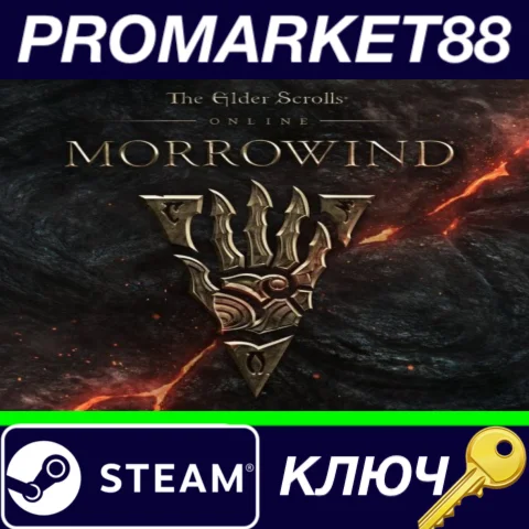 ⭐ The Elder Scrolls III Morrowind GOTY RU Steam КЛЮЧ
