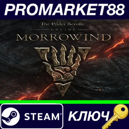 ⭐ The Elder Scrolls III Morrowind GOTY RU Steam КЛЮЧ