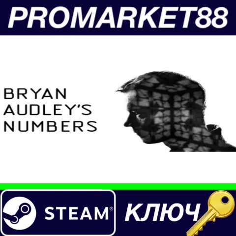 ⭐ Bryan Audley's Numbers Steam КЛЮЧ  GLOBAL