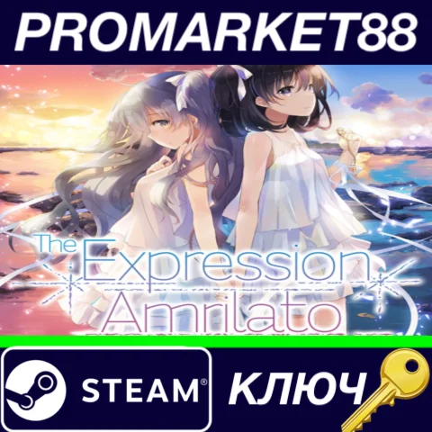⭐ The Expression Amrilato Steam КЛЮЧ  GLOBAL
