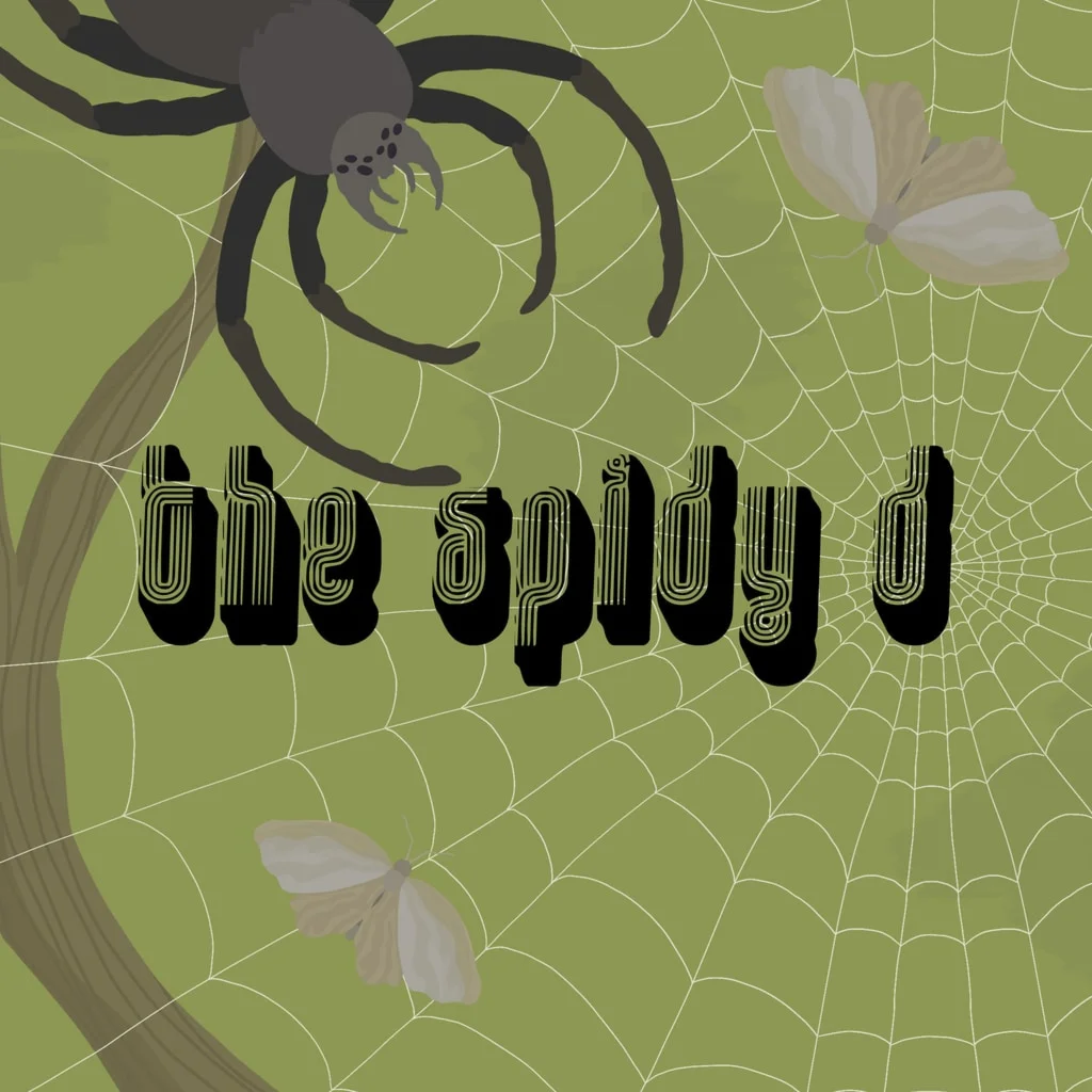 The Spidy D PS5