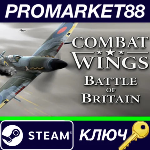 ⭐Combat Wings: Battle of Britain EMEA Steam КЛЮЧ GLOB