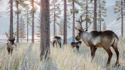 ⭐ Planet Zoo - Arctic Pack DLC Steam КЛЮЧ 🔑 GLOBAL
