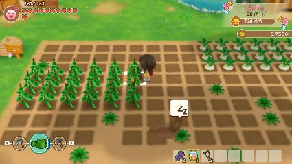 ⭐ STORY OF SEASONS: Friends of Mineral Town Steam КЛЮЧ