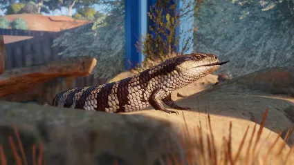 ⭐ Planet Zoo - Australia Pack DLC Steam КЛЮЧ 🔑 GLOBAL
