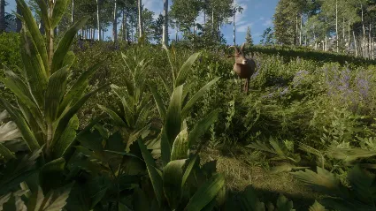 ⭐ theHunter: Call of the Wild - Silver Ridge Peaks DLC