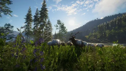 ⭐ theHunter: Call of the Wild - Silver Ridge Peaks DLC
