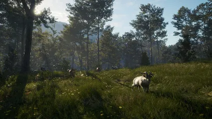 ⭐ theHunter: Call of the Wild - Te Awaroa National Park