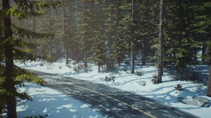 ⭐ Life is Strange 2 - Episode 2 Steam КЛЮЧ 🔑 GLOBAL