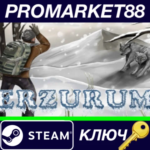 ⭐ Erzurum Steam КЛЮЧ  GLOBAL