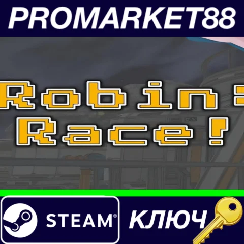 ⭐ Robin: Race! Steam КЛЮЧ  GLOBAL