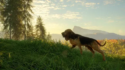 ⭐ theHunter: Call of the Wild - Bloodhound DLC Steam КЛ