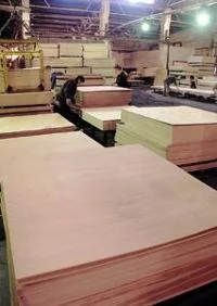 БИЗНЕС ПЛАН  организации ФАНЕРНОГО  производства