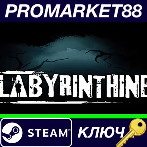⭐ Labyrinthine Steam КЛЮЧ  GLOBAL