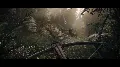 KINGDOM COME: DELIVERANCE II R — фото 6