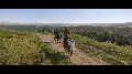 ❗KINGDOM COME: DELIVERANCE II  — фото 3