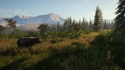 ⭐ theHunter: Call of the Wild Diamond Bundle Steam КЛЮЧ