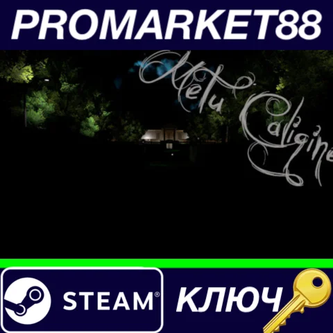⭐ Metu Caligine Steam КЛЮЧ  GLOBAL