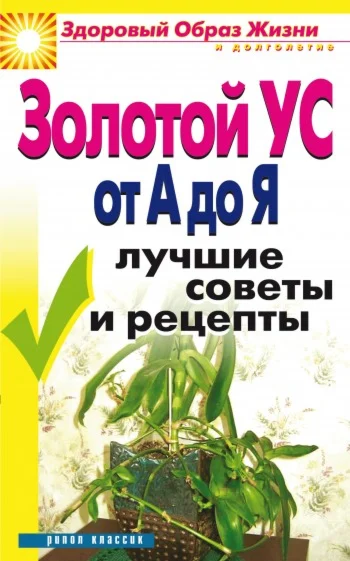 Золотой ус. От А до Я