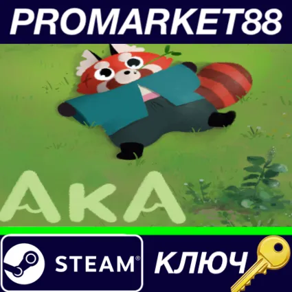 ⭐ Aka Steam КЛЮЧ 🔑 GLOBAL