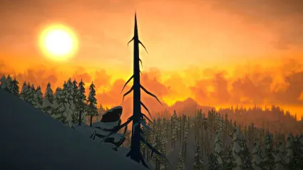 ⭐ The Long Dark: Survival Edition EN Language Only EU S