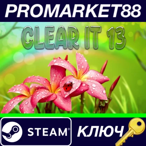 ⭐ ClearIt 13 Steam КЛЮЧ  GLOBAL