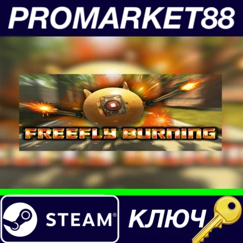 ⭐ FreeFly Burning Steam КЛЮЧ  GLOBAL