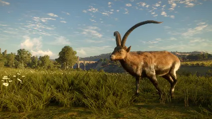 ⭐ theHunter: Call of the Wild - Cuatro Colinas Game Res