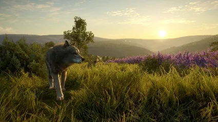⭐ theHunter: Call of the Wild - Cuatro Colinas Game Res