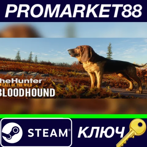 ⭐ theHunter: Call of the Wild - Bloodhound DLC EU Steam