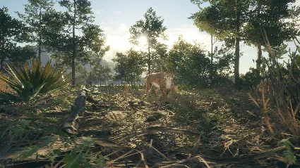 ⭐ theHunter: Call of the Wild - Rancho del Arroyo DLC E