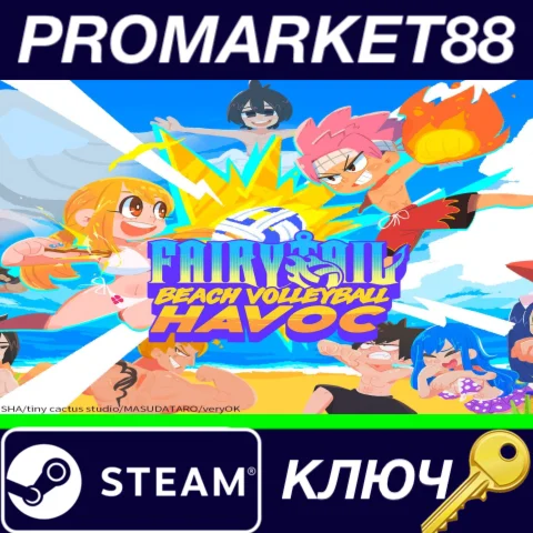 ⭐FAIRY TAIL: Beach Volleyball Havoc Steam КЛЮЧ GLOBAL