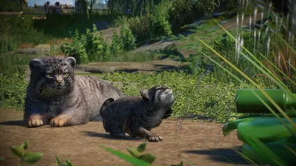 ⭐ Planet Zoo - Zookeepers Animal Pack DLC EU Steam КЛЮЧ