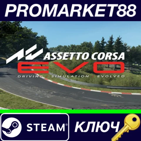 ⭐ Assetto Corsa EVO Steam КЛЮЧ  GLOBAL