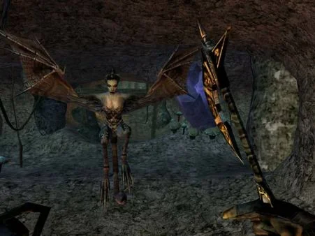 The Elder Scrolls III: Morrowind® Game of the Year Edit