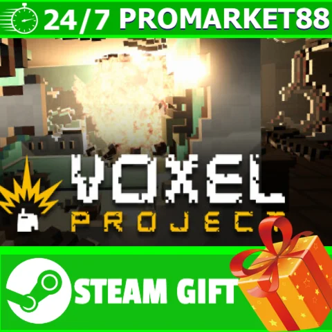 ⭐️ВСЕ СТРАНЫ+РОССИЯ⭐️ Voxel Project VR STEAM GIFT