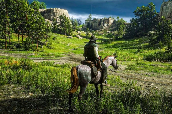 🔥⭐️Red Dead Redemption 2 Steam Gift ⭐️All REGIONS ⭐️🔥